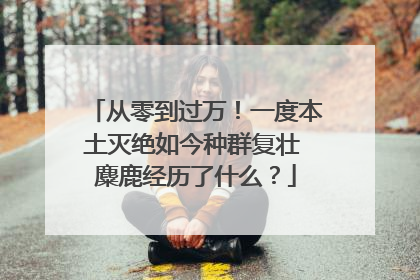 从零到过万！一度本土灭绝如今种群复壮 麋鹿经历了什么？