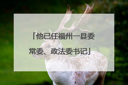 他已任福州一县委常委、政法委书记