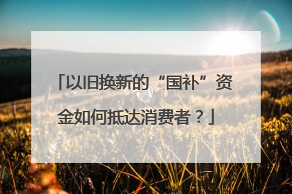 以旧换新的“国补”资金如何抵达消费者？