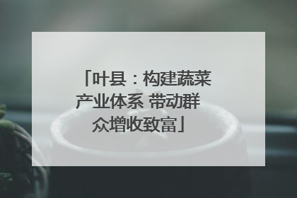 叶县：构建蔬菜产业体系 带动群众增收致富