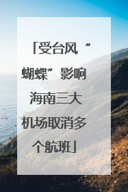 受台风“蝴蝶”影响 海南三大机场取消多个航班