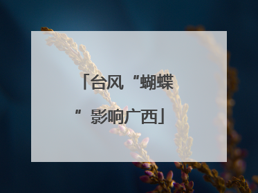 台风“蝴蝶”影响广西