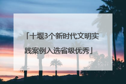 十堰3个新时代文明实践案例入选省级优秀