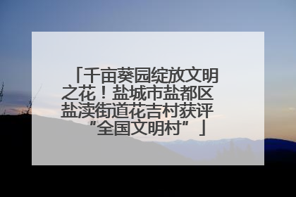 千亩葵园绽放文明之花！盐城市盐都区盐渎街道花吉村获评“全国文明村”