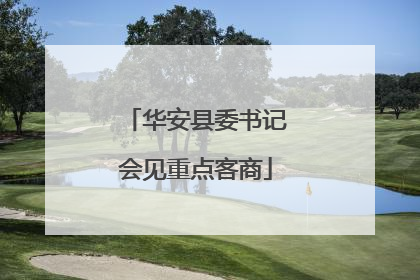 华安县委书记会见重点客商