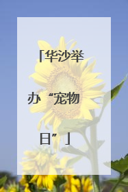 华沙举办“宠物日”