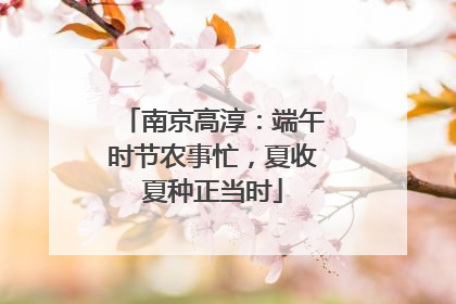 南京高淳：端午时节农事忙，夏收夏种正当时
