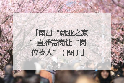 南昌“就业之家”直播带岗让“岗位找人”（图）