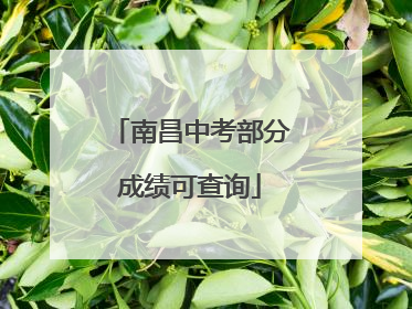 南昌中考部分成绩可查询
