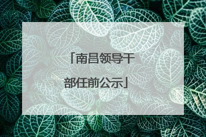 南昌领导干部任前公示