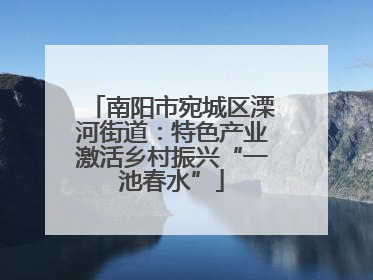 南阳市宛城区溧河街道：特色产业激活乡村振兴“一池春水”