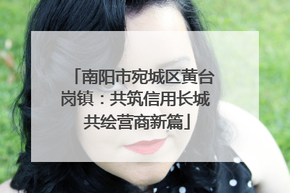 南阳市宛城区黄台岗镇：共筑信用长城 共绘营商新篇