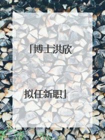 博士洪欣拟任新职