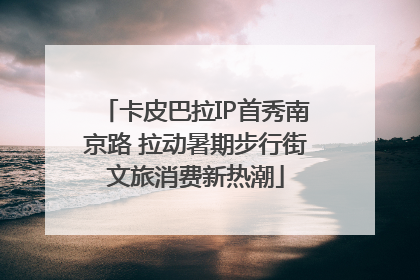 卡皮巴拉IP首秀南京路 拉动暑期步行街文旅消费新热潮