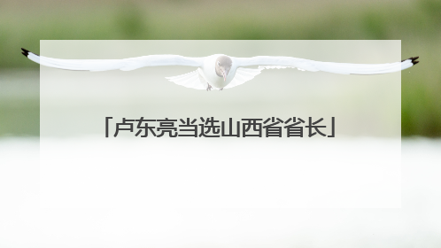 卢东亮当选山西省省长