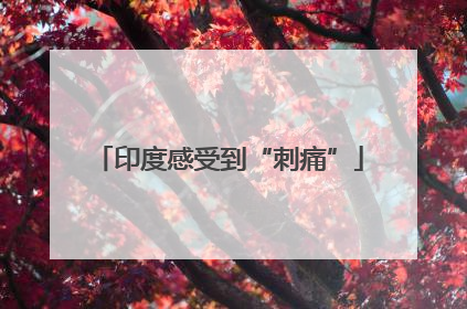 印度感受到“刺痛”