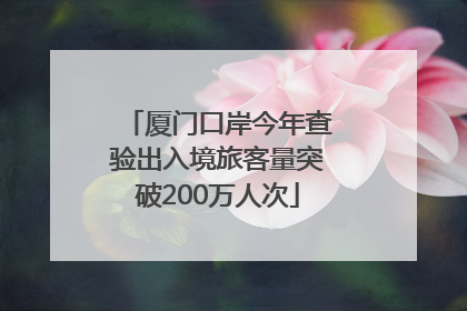 厦门口岸今年查验出入境旅客量突破200万人次