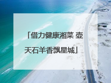 借力健康湘菜 壶天石羊香飘星城