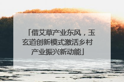 借艾草产业东风，玉玄道创新模式激活乡村产业振兴新动能