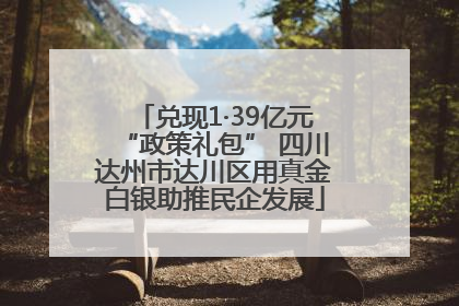 兑现1·39亿元“政策礼包” 四川达州市达川区用真金白银助推民企发展