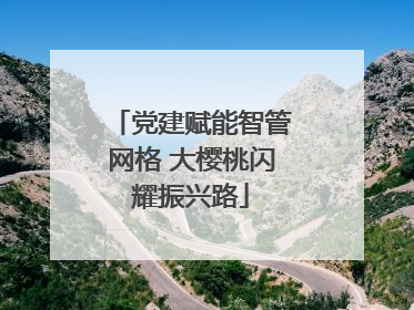 党建赋能智管网格 大樱桃闪耀振兴路