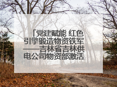 党建赋能 红色引擎锻造物资铁军——吉林省吉林供电公司物资部激活供应链新动能