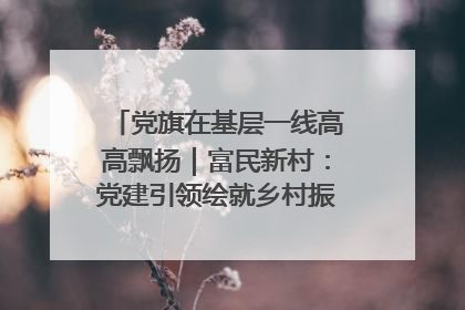 党旗在基层一线高高飘扬｜富民新村：党建引领绘就乡村振兴美丽画卷
