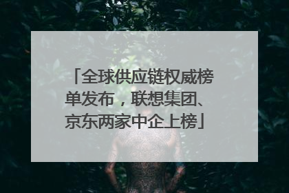 全球供应链权威榜单发布，联想集团、京东两家中企上榜
