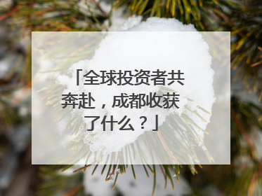 全球投资者共奔赴，成都收获了什么？