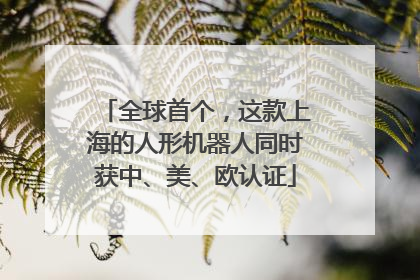 全球首个，这款上海的人形机器人同时获中、美、欧认证