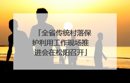 全省传统村落保护利用工作现场推进会在松阳召开