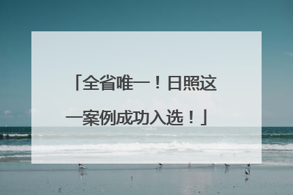 全省唯一！日照这一案例成功入选！