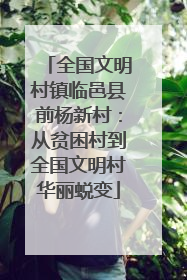 全国文明村镇临邑县前杨新村：从贫困村到全国文明村华丽蜕变
