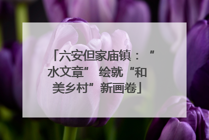 六安但家庙镇：“水文章” 绘就“和美乡村”新画卷