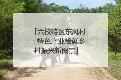 六枝特区东风村：特色产业绘就乡村振兴新图景