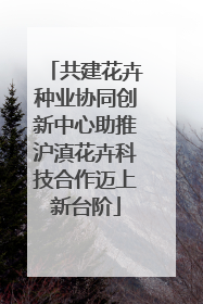 共建花卉种业协同创新中心助推沪滇花卉科技合作迈上新台阶
