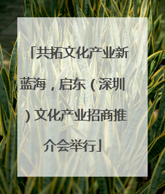 共拓文化产业新蓝海，启东（深圳）文化产业招商推介会举行