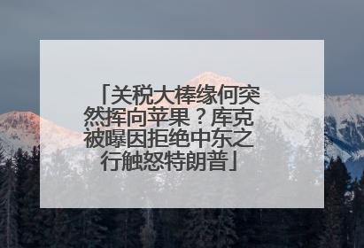 关税大棒缘何突然挥向苹果？库克被曝因拒绝中东之行触怒特朗普