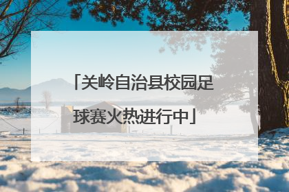 关岭自治县校园足球赛火热进行中