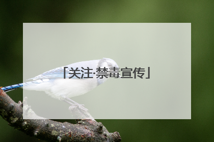 关注·禁毒宣传