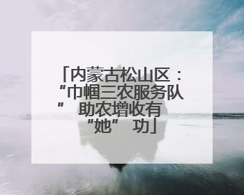 内蒙古松山区：“巾帼三农服务队” 助农增收有 “她” 功