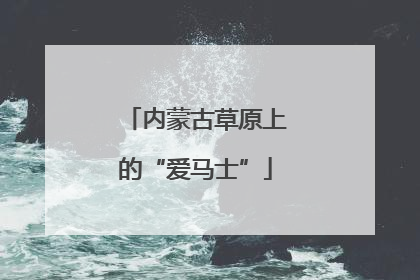 内蒙古草原上的“爱马士”