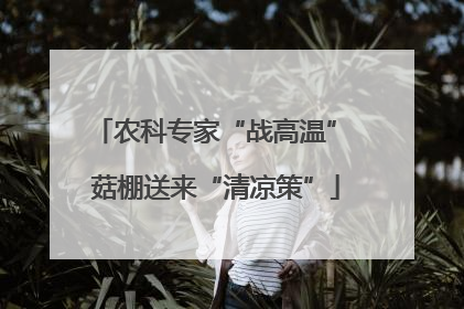 农科专家“战高温” 菇棚送来“清凉策”