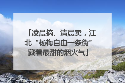 凌晨摘、清晨卖，江北“杨梅自由一条街”藏着最甜的烟火气