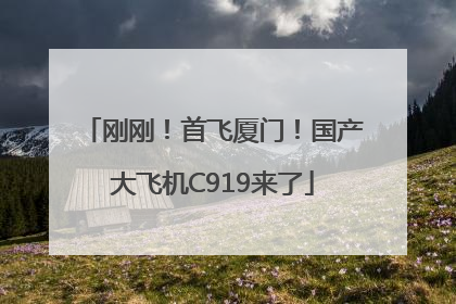 刚刚！首飞厦门！国产大飞机C919来了