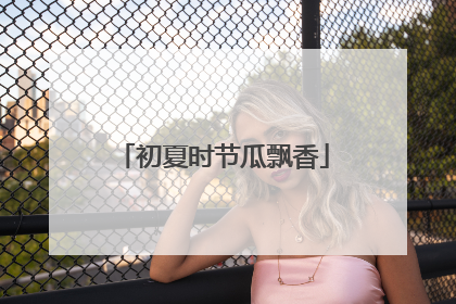 初夏时节瓜飘香