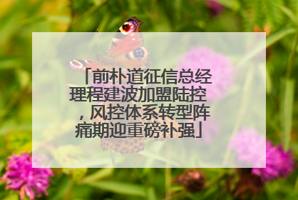 前朴道征信总经理程建波加盟陆控，风控体系转型阵痛期迎重磅补强