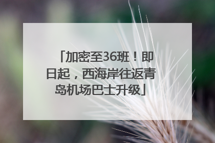 加密至36班！即日起，西海岸往返青岛机场巴士升级