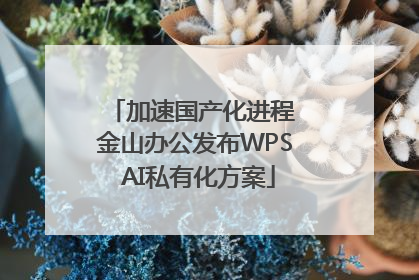 加速国产化进程 金山办公发布WPS AI私有化方案