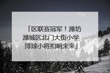区联赛冠军！潍坊潍城区北门大街小学排球小将扣响未来
